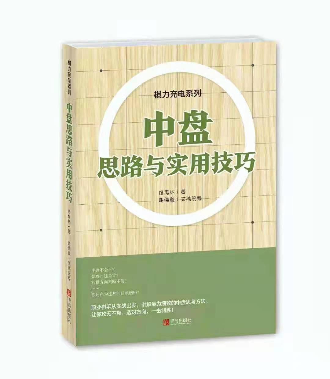 棋力充电系列：中盘思路与实用技巧 佟禹林四段