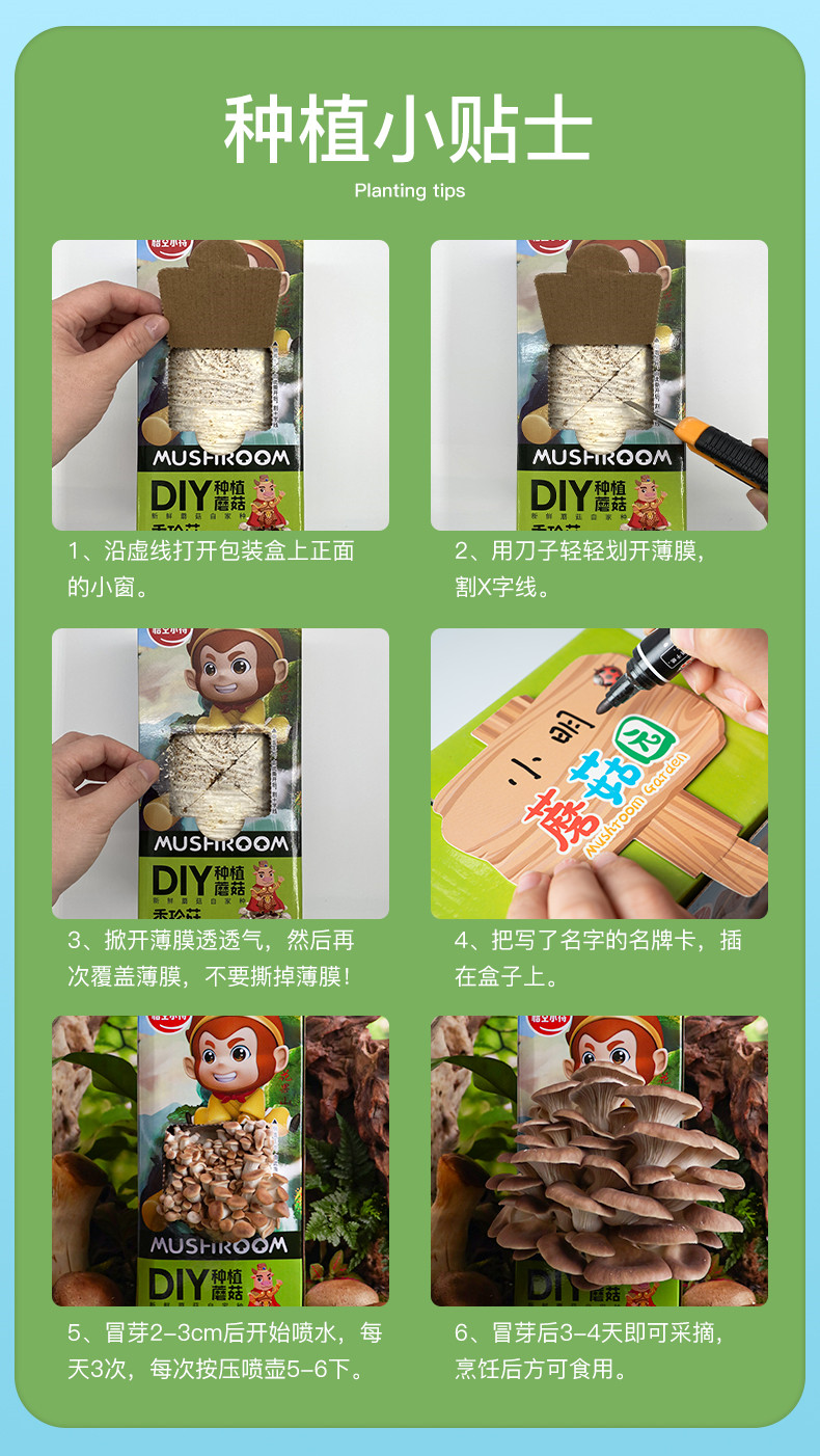 详情页 (9)_副本.jpg