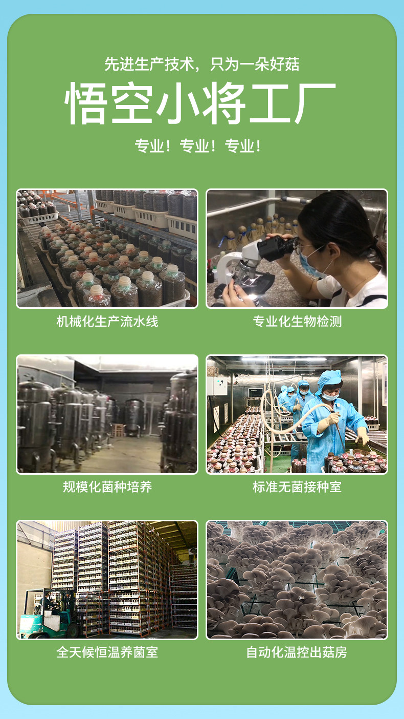 详情页 (12)_副本.jpg