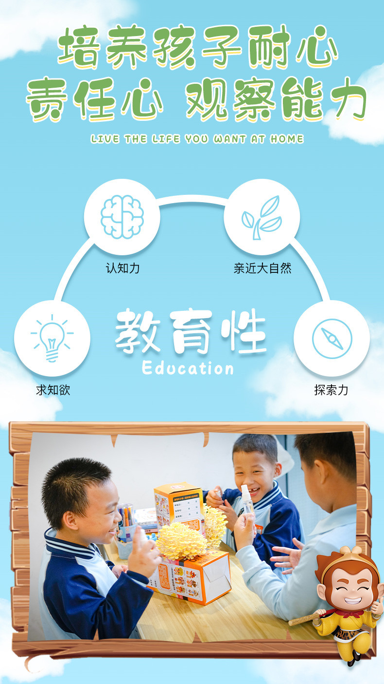 详情页 (5)_副本.jpg