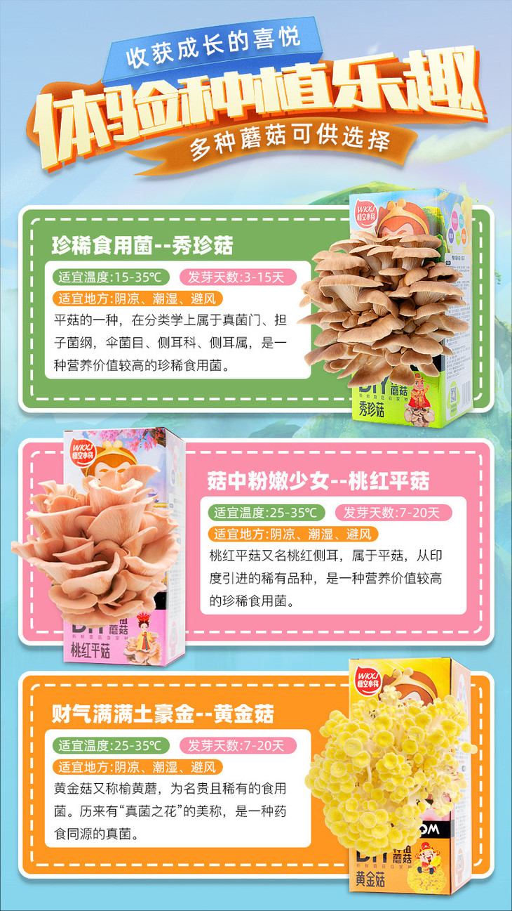 详情页 (2)_副本.jpg