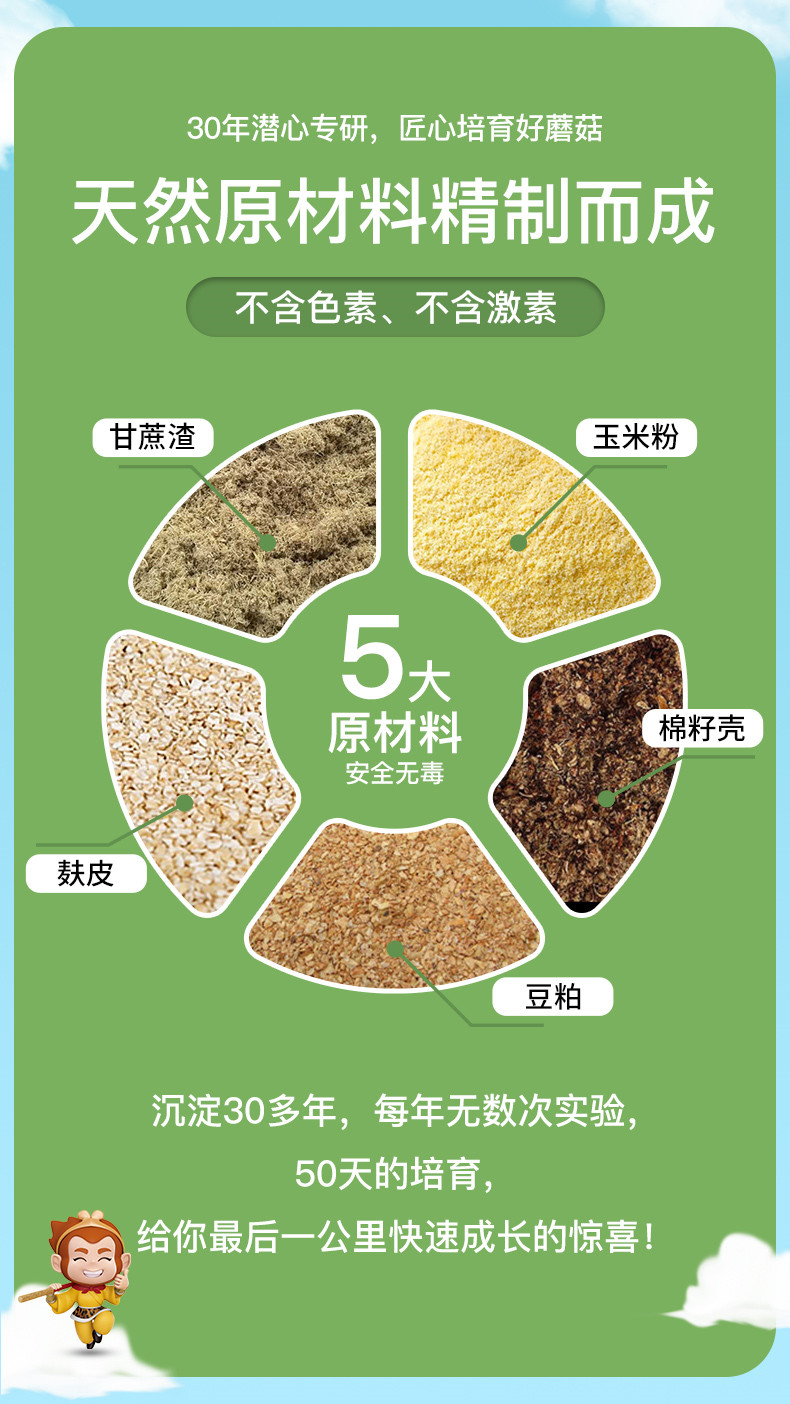 详情页 (7)_副本.jpg