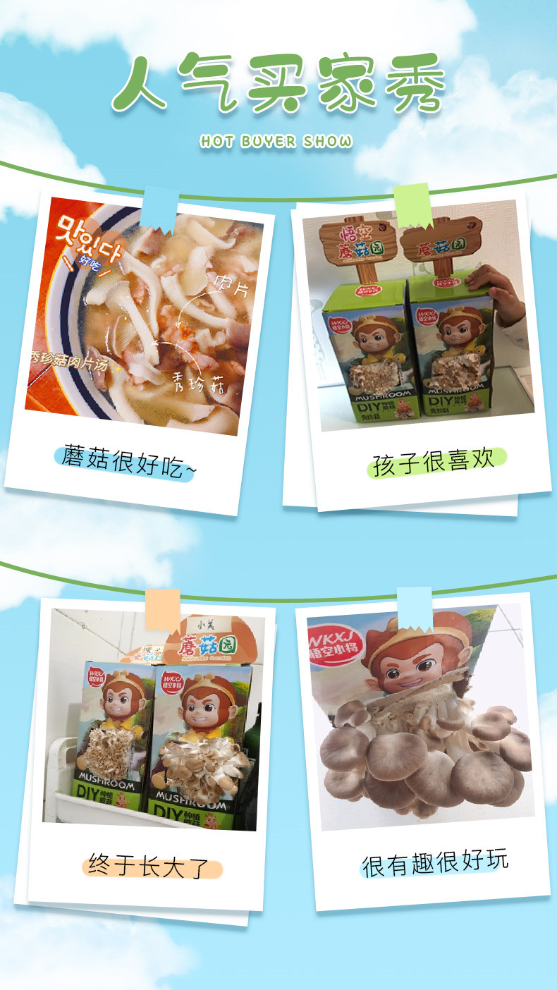 详情页 (14)_副本.jpg