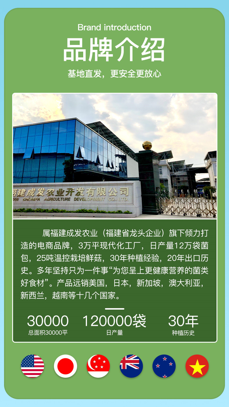 详情页 (10)_副本.jpg