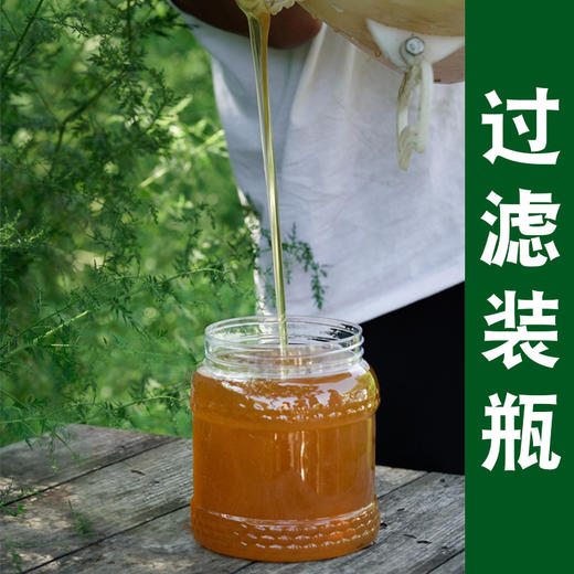 红岗山土蜂蜜 500g 商品图4