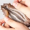 0添加无碱无膨胀剂即食速冻海参（辽参）10根/30根 商品缩略图4