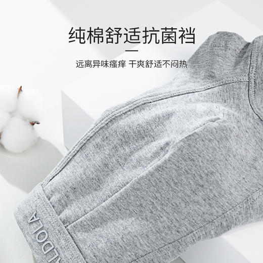 雅黛丽内裤男平角裤纯棉舒适透气男士青年裤头男生短裤四角裤 商品图2