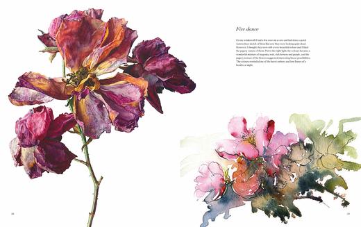 【现货】Rosie Sanders’ Roses: A celebration in botanical art，罗西·桑德斯的玫瑰:植物学艺术 商品图3