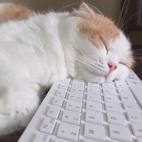 邮 费 补 拍【需要再拍，凑单不退】