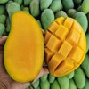 金煌芒果 个大饱满 皮薄肉厚 买3斤送1.5斤到手4.5斤 商品缩略图4