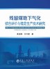 残留煤地下气化综合评价与稳定生产技术研究/黄温钢,王作棠 商品缩略图0