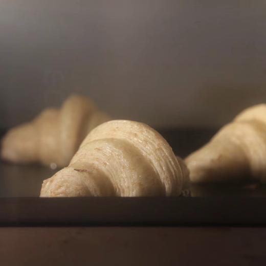 可颂专题课 商品图3