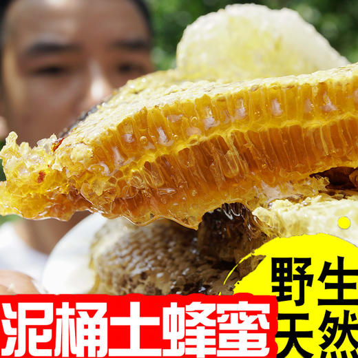 红岗山土蜂蜜 500g 商品图1