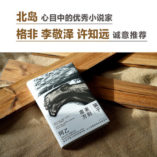 骗子来到南方 商品图1