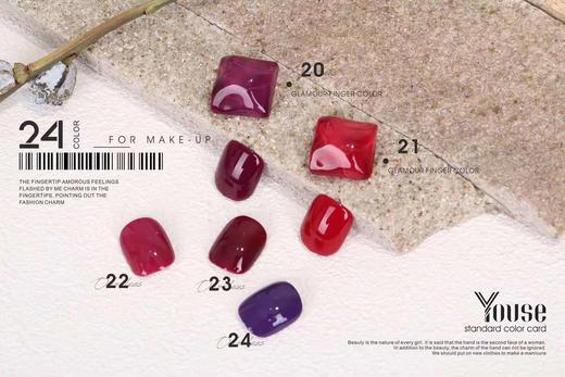 NISI 24色系列粉雾赤茶 商品图1