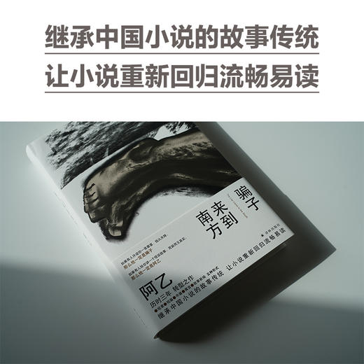 骗子来到南方 商品图6