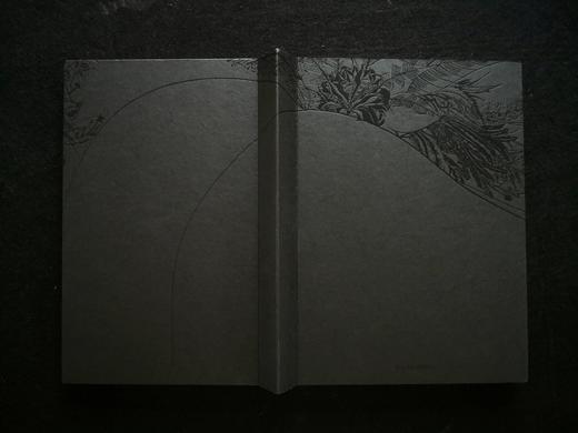 Leng Bingchuan: Master of Chinese Black and White Art,冷冰川：中国黑白艺术大师,艺术 商品图1