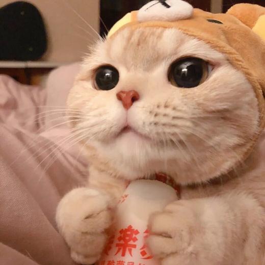 静子测试积分商城，勿动 商品图0