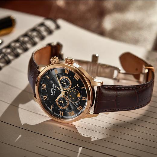 西铁城日本官方正品光动能月相盈亏月份星期日历男表AP1059-19E 商品图6