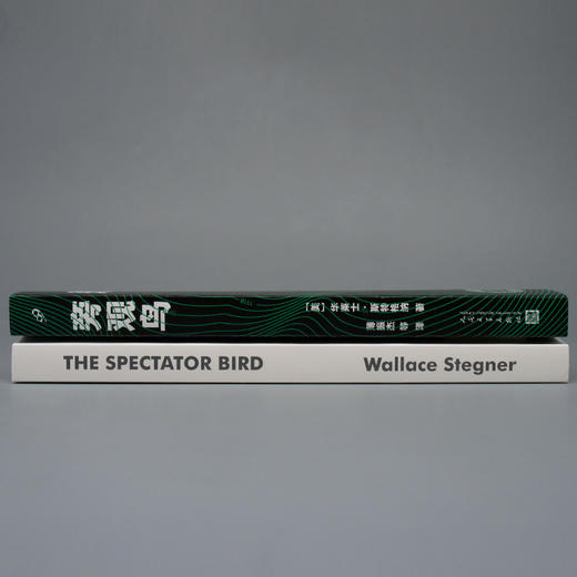 旁观鸟 商品图1