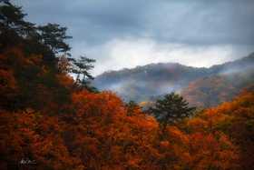 长白山脉秋色——桦甸红叶、长白山（北坡+西坡）、十五道沟望天鹅、本溪老边沟、中朝边境——丹东、临江、大连海滨深度12天