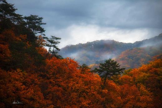 长白山脉秋色——桦甸红叶、长白山（北坡+西坡）、十五道沟望天鹅、本溪老边沟、中朝边境——丹东、临江、大连海滨深度12天 商品图0