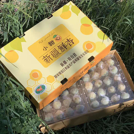 5天发货 | 新疆轮台小白杏超甜 约3.5斤 果肉细腻  醇厚多汁[福利品] 商品图4