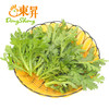 东升农场  春菊苗 250G 广州供港蔬菜新鲜配送 商品缩略图0