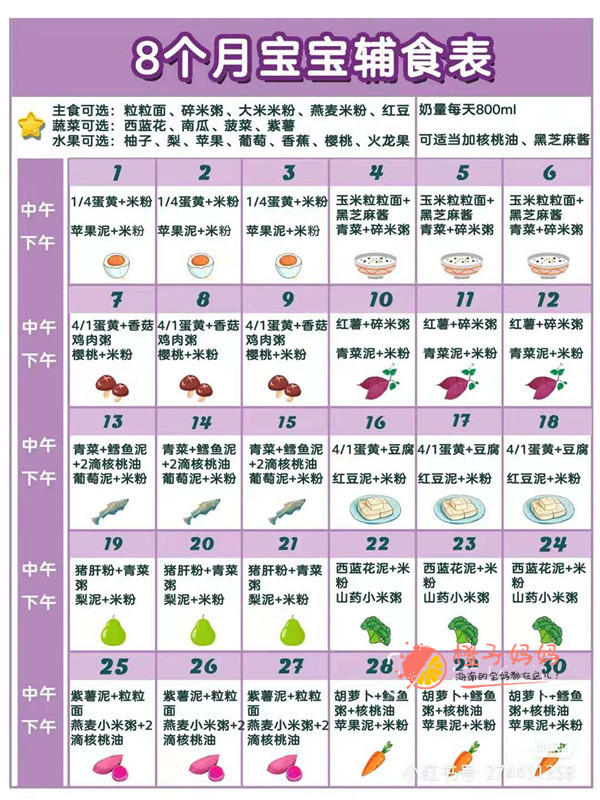 8月宝宝每日辅食表
