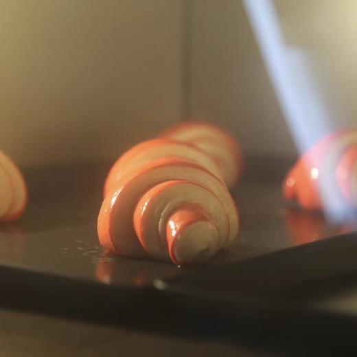 可颂专题课 商品图2