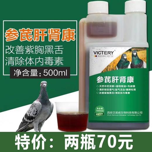 【参芪肝肾康】500ml，/强化肝精体种鸽排毒肝肾宝（汉诺威） 商品图0