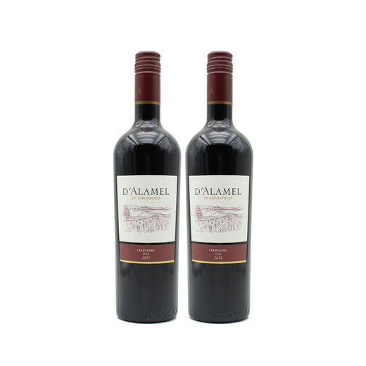 【双支特惠装】黛拉美-卡门乐红葡萄酒 D`ALAMEL CARMENERE 750ml*2 商品图0