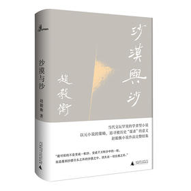 沙漠与沙  赵毅衡/著 小说集 中国 当代 广西师范大学出版社