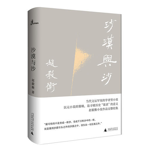 沙漠与沙  赵毅衡/著 小说集 中国 当代 广西师范大学出版社 商品图0
