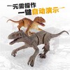 暴走迅猛龙遥控会走路发光仿真动物 商品缩略图4