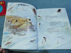 《加古里子手绘博物百科》：此前，我真的不知道蜻蜓是由水虿蜕变而来的