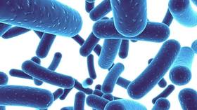 博德生物重大突破，植物乳杆菌HT121降血脂功能临床试验结果公布！