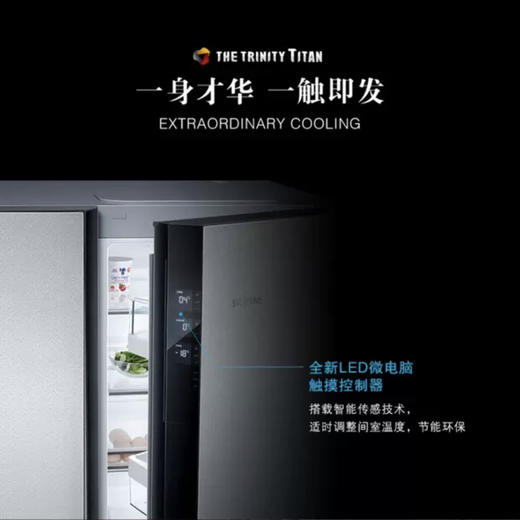 西门子（SIEMENS）冰箱KA96FA46TI 商品图10