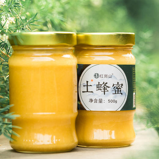 红岗山土蜂蜜 500g 商品图2