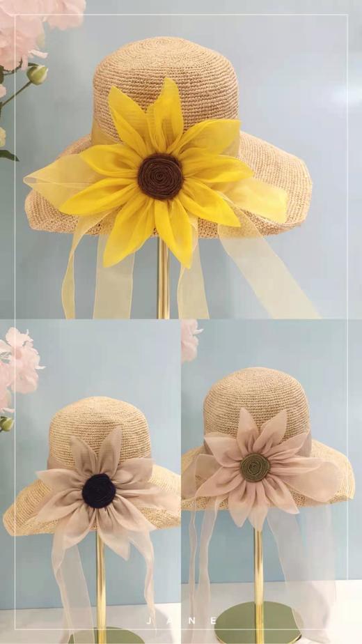 3F Veiyaz唯雅姿 拉菲草遮阳帽 商品图0