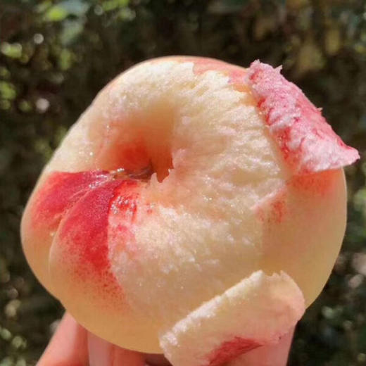 陕西王母毛蟠桃 新鲜现摘 薄皮香糯甜扁盘毛桃子 尝鲜期仅10天（4.5-5斤25-30枚装） 商品图2