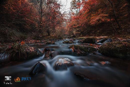 长白山脉秋色——桦甸红叶、长白山（北坡+西坡）、十五道沟望天鹅、本溪老边沟、中朝边境——丹东、临江、大连海滨深度12天 商品图4