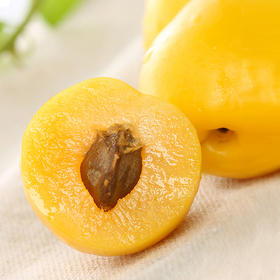 泰安半野生珍珠杏！从舌尖甜到心尖！