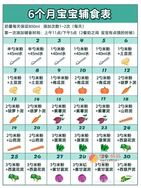 6月宝宝每日食谱表