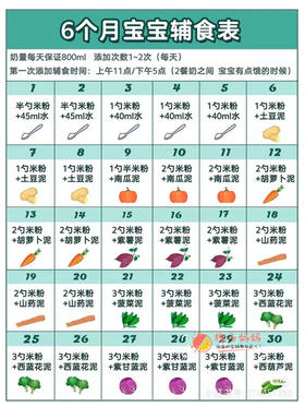 6月宝宝每日食谱表