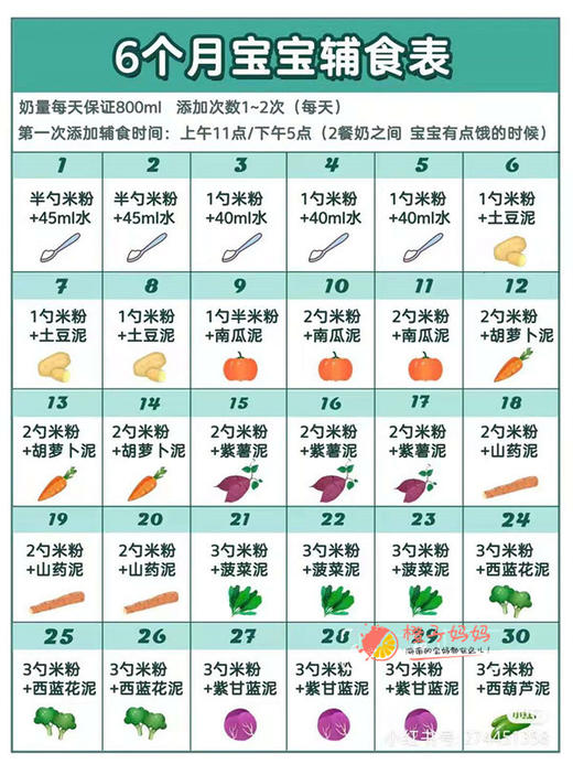 6月宝宝每日食谱表 商品图0