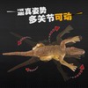 暴走迅猛龙遥控会走路发光仿真动物 商品缩略图2