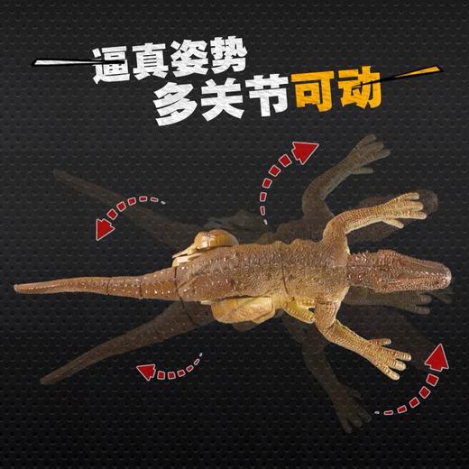 暴走迅猛龙遥控会走路发光仿真动物 商品图2