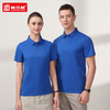 polo衫定制t恤文化广告衫印logo刺绣短袖翻领工衣定做企业工作服 商品缩略图3