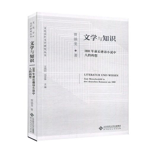 文学与知识 1800年前后德语小说中人的构想 9787303253661 贾涵斐 著 文化学&文学研究丛书 北京师范大学出版社 正版书籍 商品图0